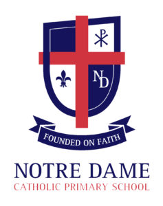 NDS-logo high resolution