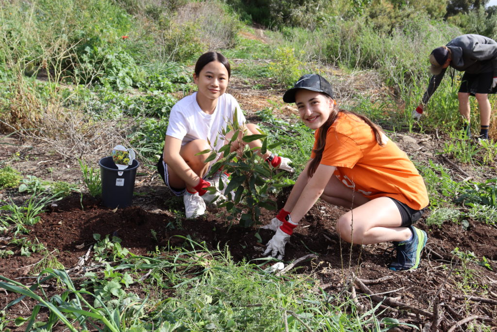 The Carnaby’s Black Cockatoo Conservation Project