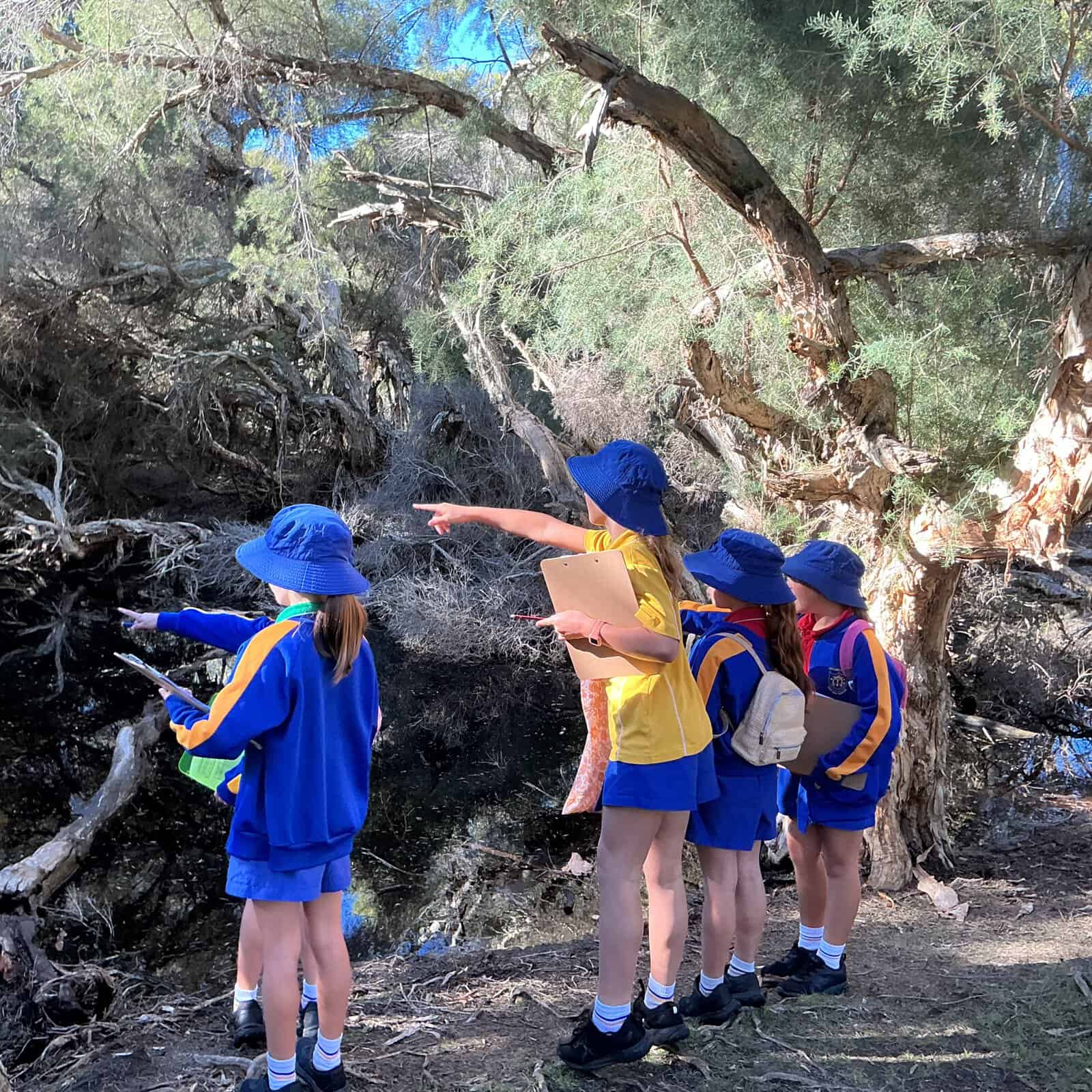 Wandering Wonderings: Beach and Bush School